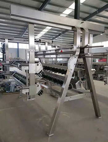 禽产业现新动态 屠宰、制冷等设备加快行业改革